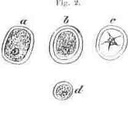 fig002.jpg