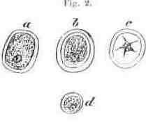 fig002.jpg
