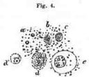 fig004.jpg