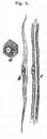 fig005.jpg