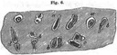 fig006.jpg