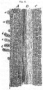 fig008.jpg