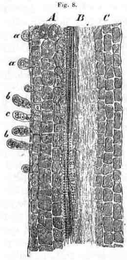 fig008.jpg