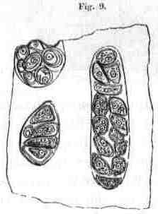 fig009.jpg