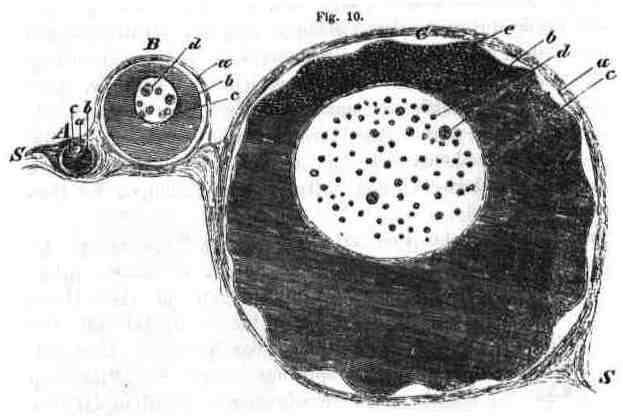 fig010.jpg