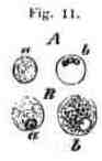 fig011.jpg