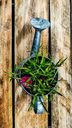watering-can-1506739_1280.png