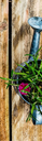watering-can-zugeschnitten.png