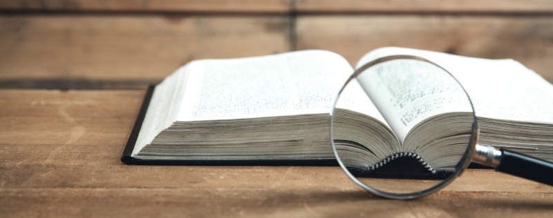 Bannerbild: Buch und Lupe