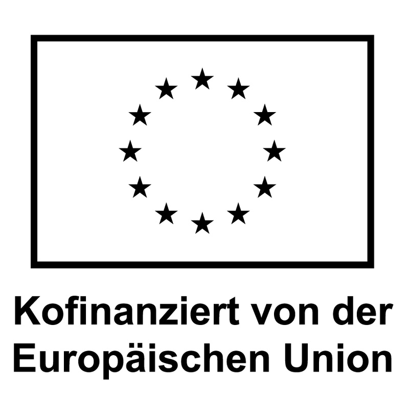 DE V Kofinanziert von der Europäischen Union_BLACK OUTLINE.jpg