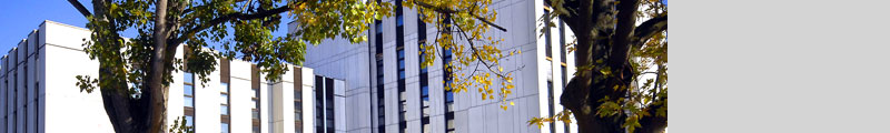 DSC4771_banner.jpg