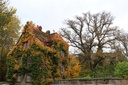 Botanical garden JLU