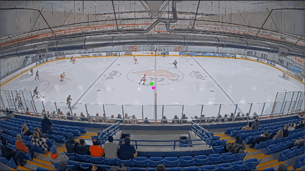 Hockey.gif