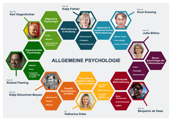 allpsych_organigramm.png