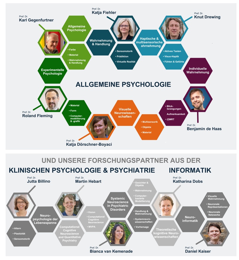 allpsych_organigramm_en_de_2026-de.jpg
