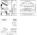 image-2.png