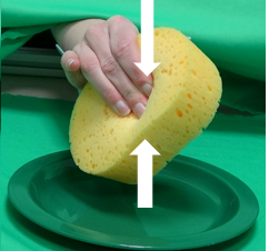 Capture.PNG