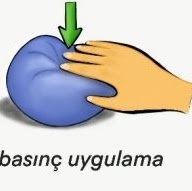 Fig.JPG
