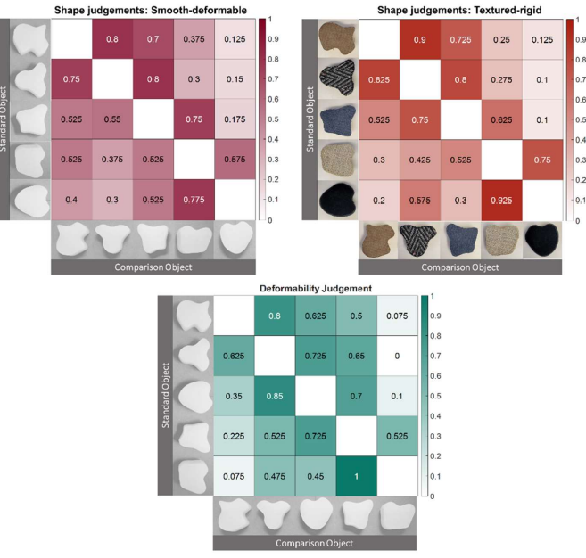 task-adapted single-finger explorations of comlex objects.png
