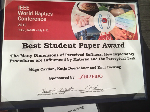 IEEE Award