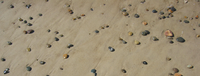 Selection Banner Selection Banner