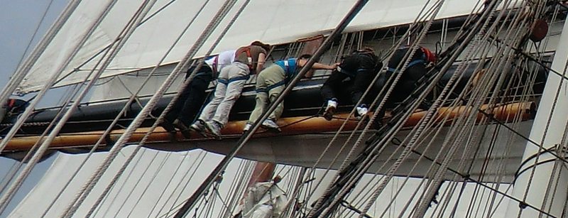 Haupt Banner