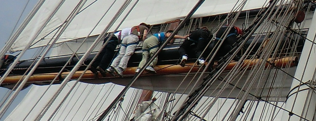 Haupt Banner