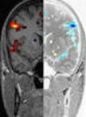 Allgemeine Psychologie und Kognitionsforschung