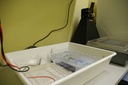 gelektrophorese