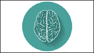 pp_brain