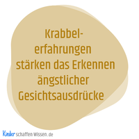 KiSchaWiKrabbelnGesicht.png