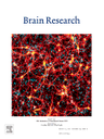 BrainResearch