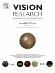 Vision_research