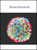 Brain_research