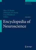 Encyclopedia_of_Neuroscience
