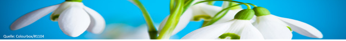 Frühling