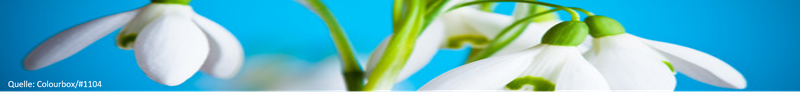 Frühling