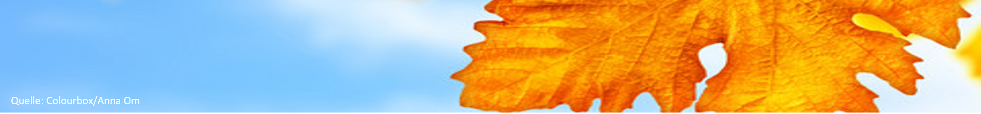 Herbst_Banner.png
