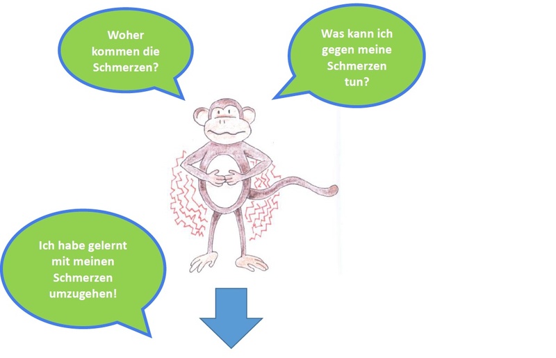 Affe_Fragen