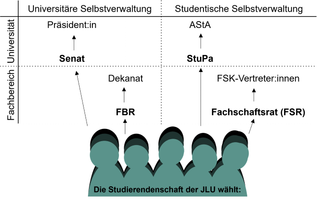 Grafik Hochschulwahlen