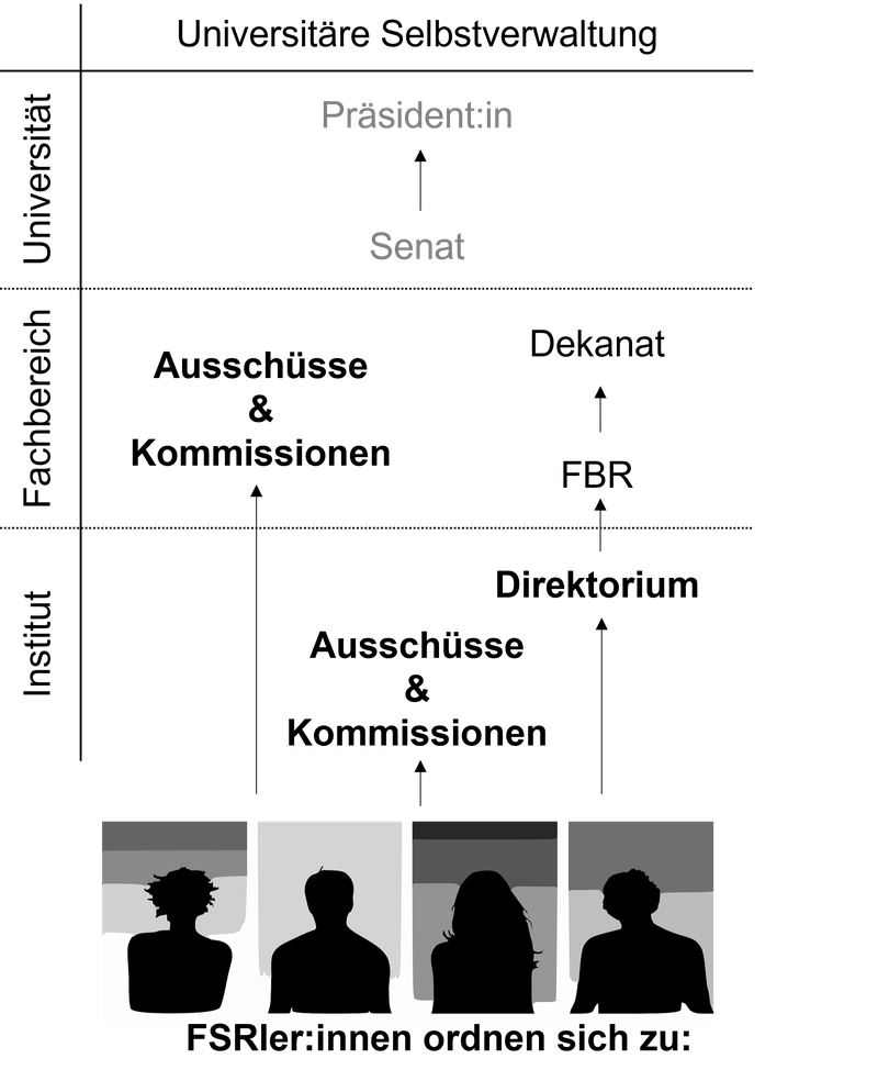 Institutspolitik Neu