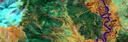 geo fern