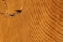 icon Klima-Umwelt-Mensch-Beziehungen