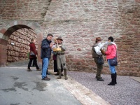 Burg Wertheim