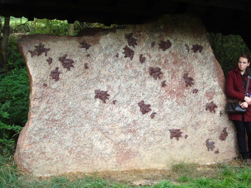 Chirotherium-Fährten, Külsheim