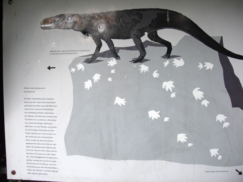 Chirotherium