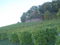 Jägerhaus-Pfad