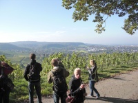 Blick auf Heilbronn