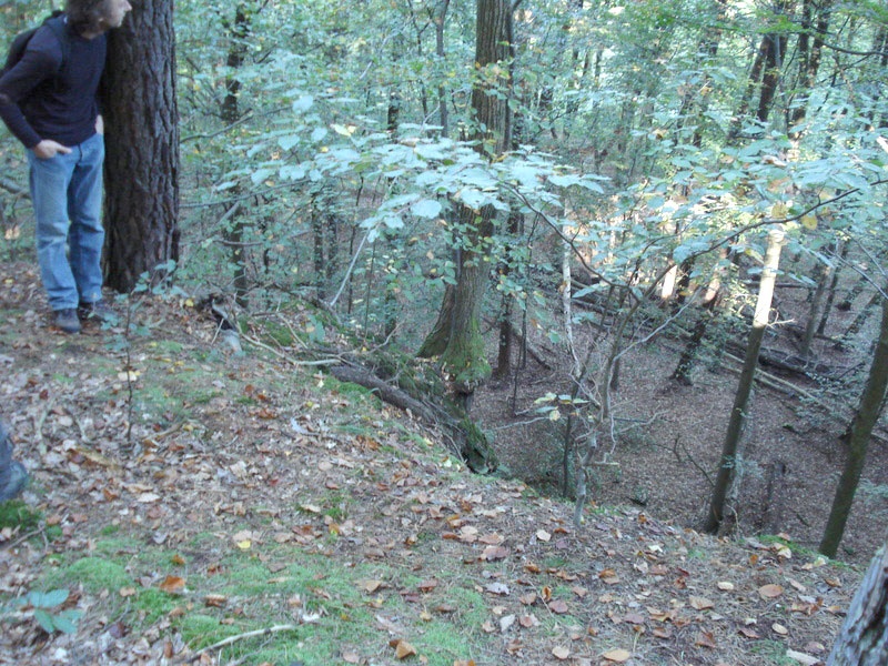 Großschollenrutschung Wildenberg