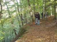 Großschollenrutschung Wildenberg